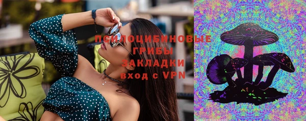 гашик Алзамай