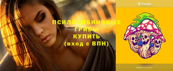 гашик Алзамай