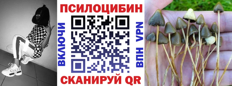 купить  сайты  Дудинка  Галлюциногенные грибы Cubensis 