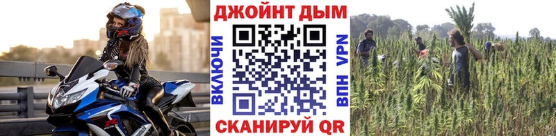 Бошки Шишки планчик  купить наркотики сайты  Дудинка 